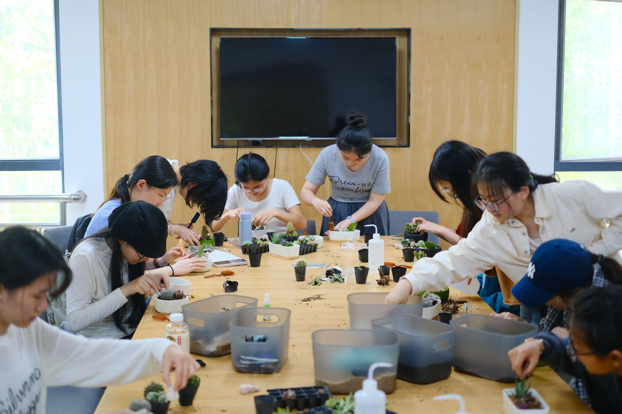 “一站式”学生社区 ｜ “绿”动心声——沙生植物组盆手作活动顺利举行